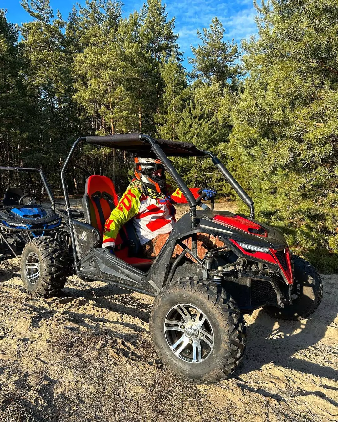 image of buggy driver